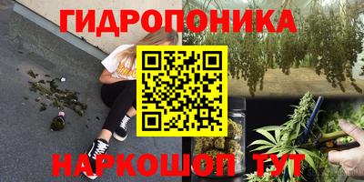 гидра Уссурийск