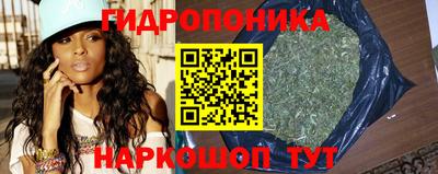 гидра Уссурийск