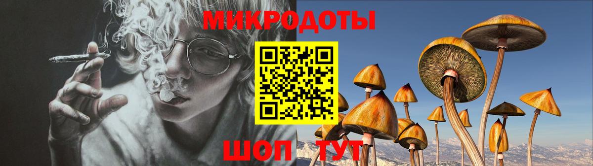 Псилоцибиновые грибы Psilocybine cubensis  Вход с VPN  Нижнекамск 